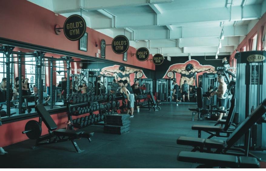 The Gold's Gym Story: From Venice Beach to Global Fitness Empire